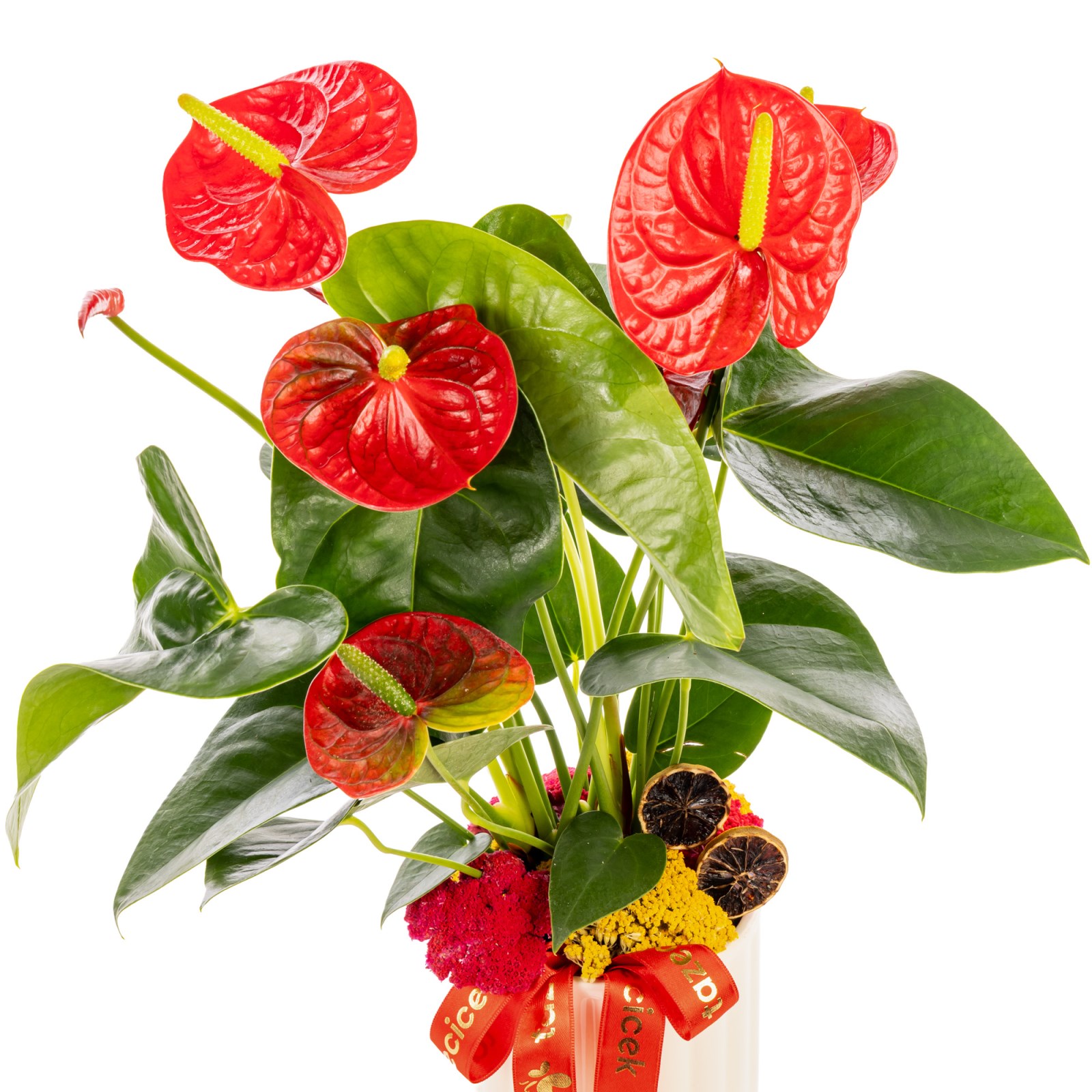 Love Flame Antoryum