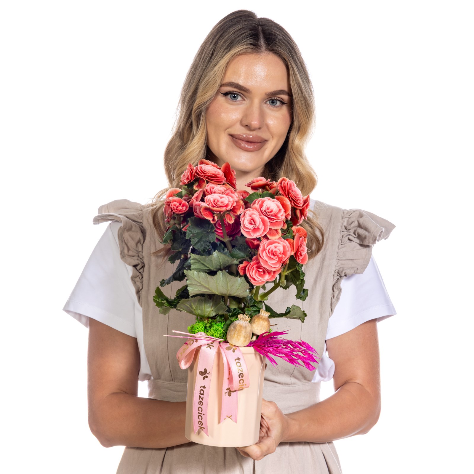 Romantic Coral Begonya