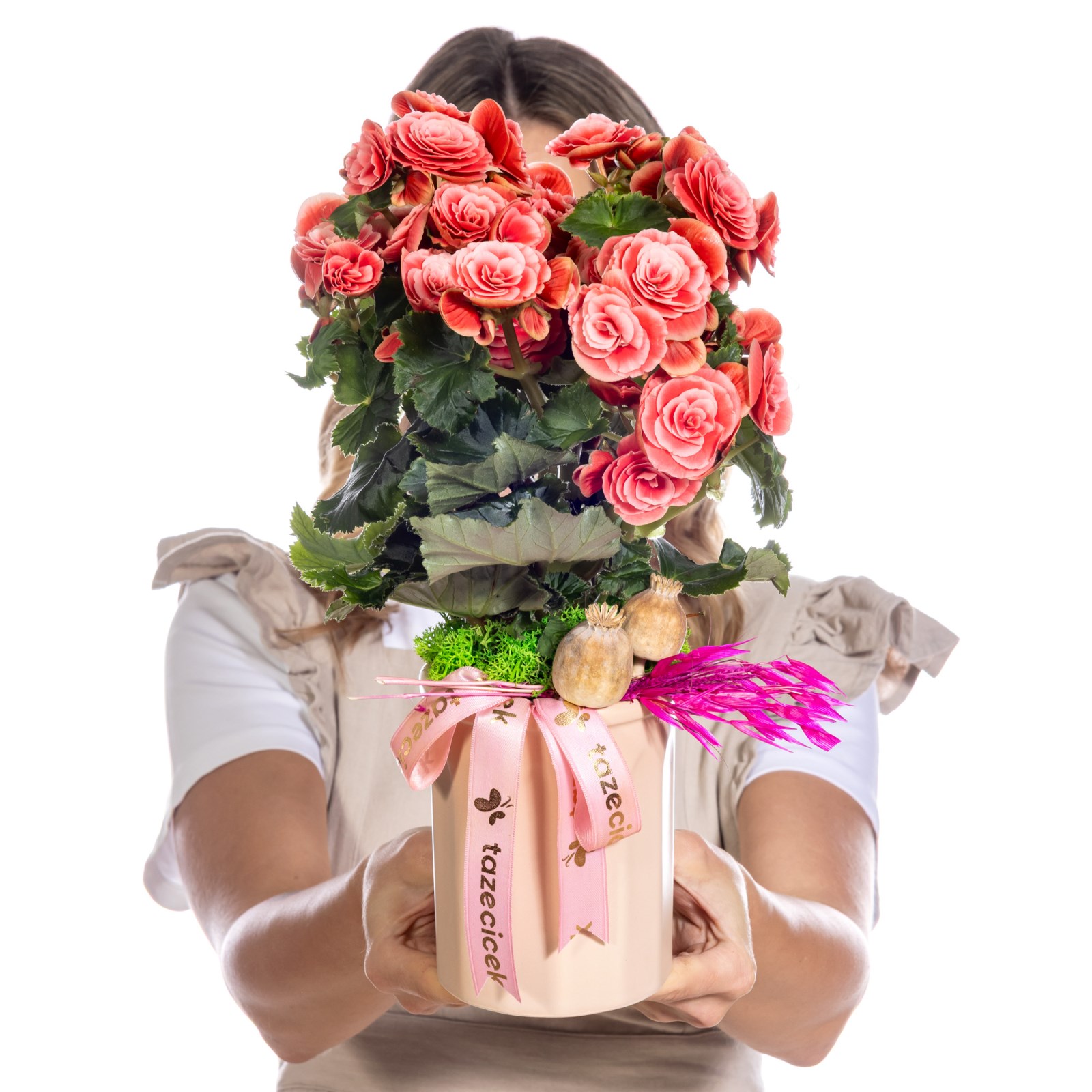 Romantic Coral Begonya
