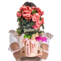 Romantic Coral Begonya