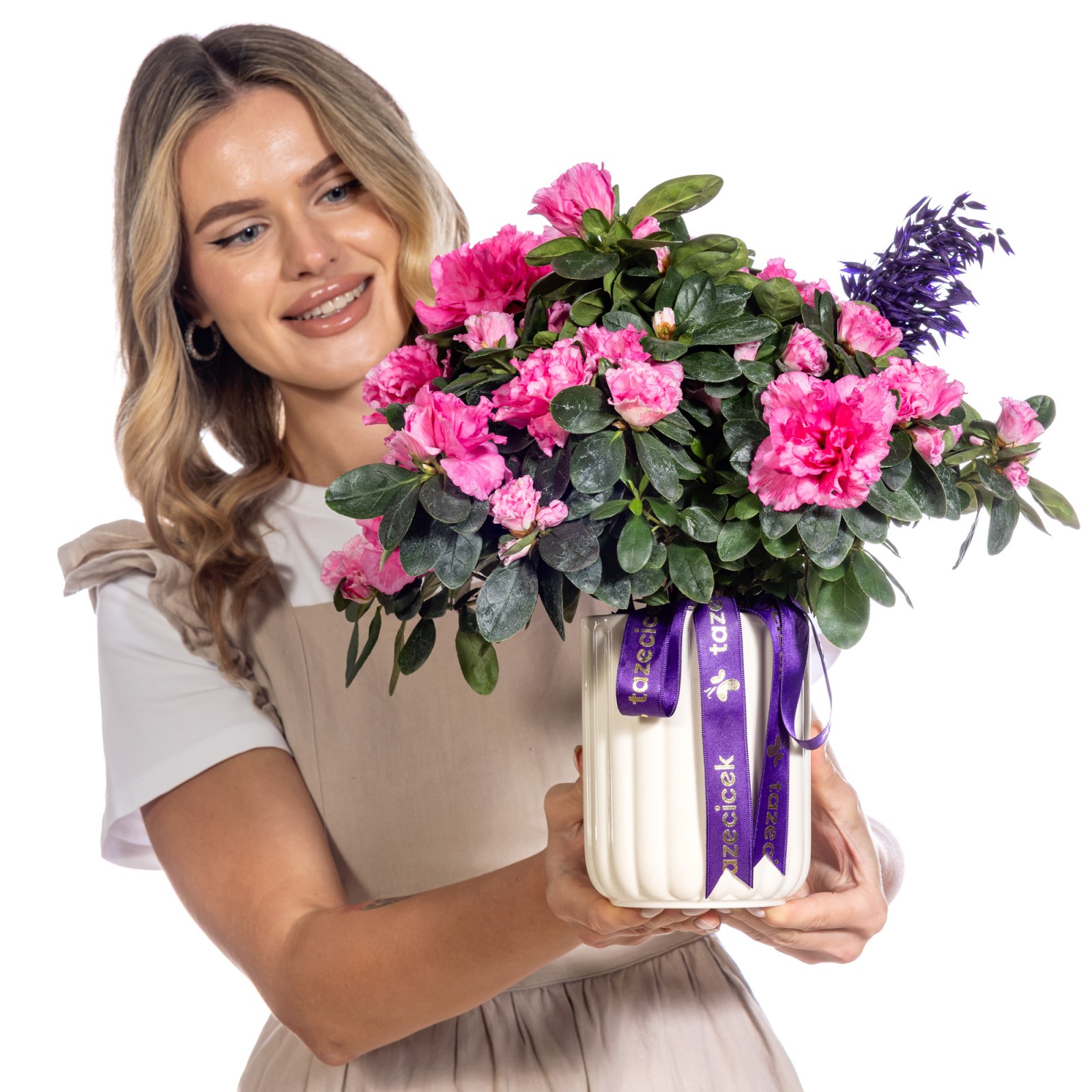 Purple Grace Açelya Bitkisi