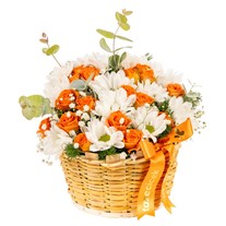 Sunny Bloom Papatya Sepeti