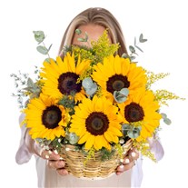 Golden Smile Ayçiçeği Sepeti