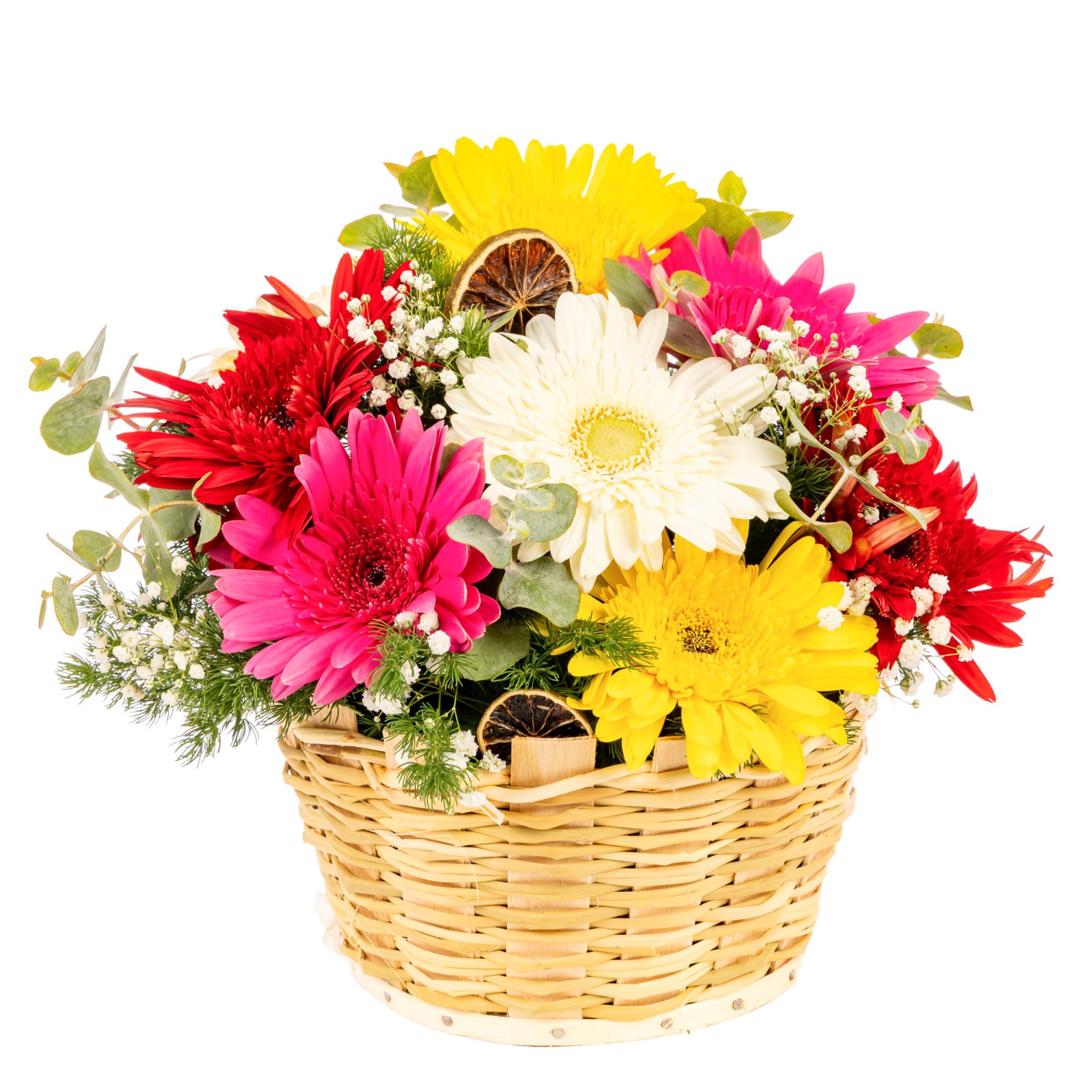 Color Beats Gerbera Sepeti