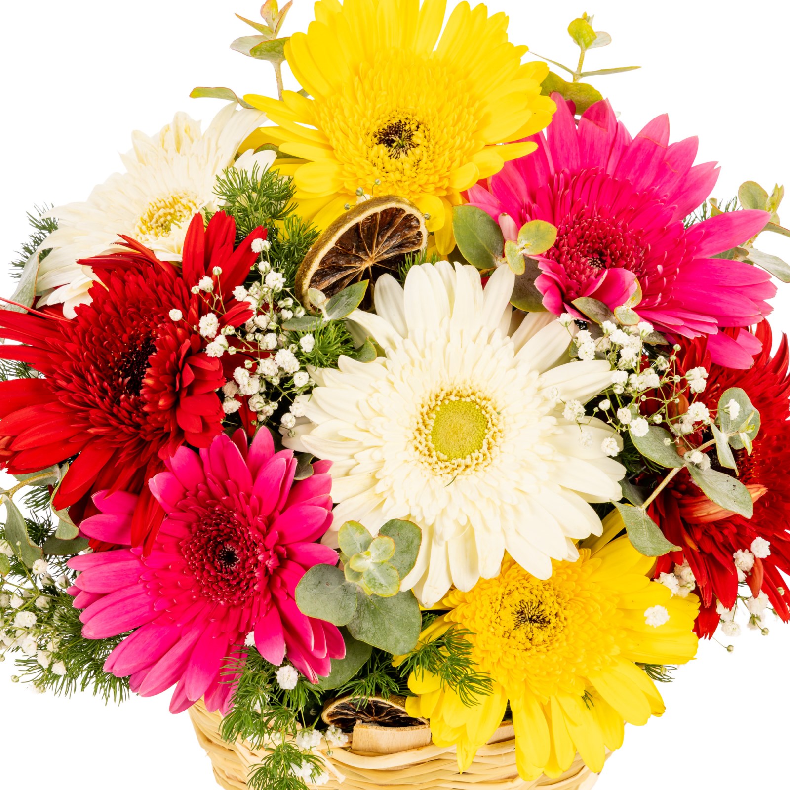 Color Beats Gerbera Sepeti