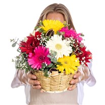 Color Beats Gerbera Sepeti