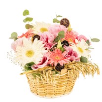 Soft Breeze Gerbera Sepeti