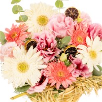 Soft Breeze Gerbera Sepeti