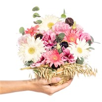 Soft Breeze Gerbera Sepeti
