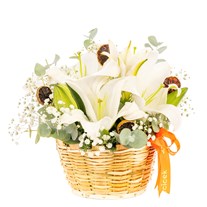 Pure Bloom Bloom Lilyum Sepeti