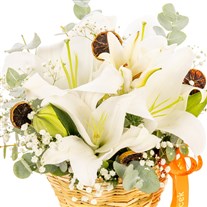 Pure Bloom Bloom Lilyum Sepeti