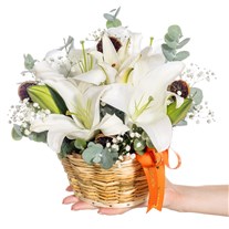 Pure Bloom Bloom Lilyum Sepeti