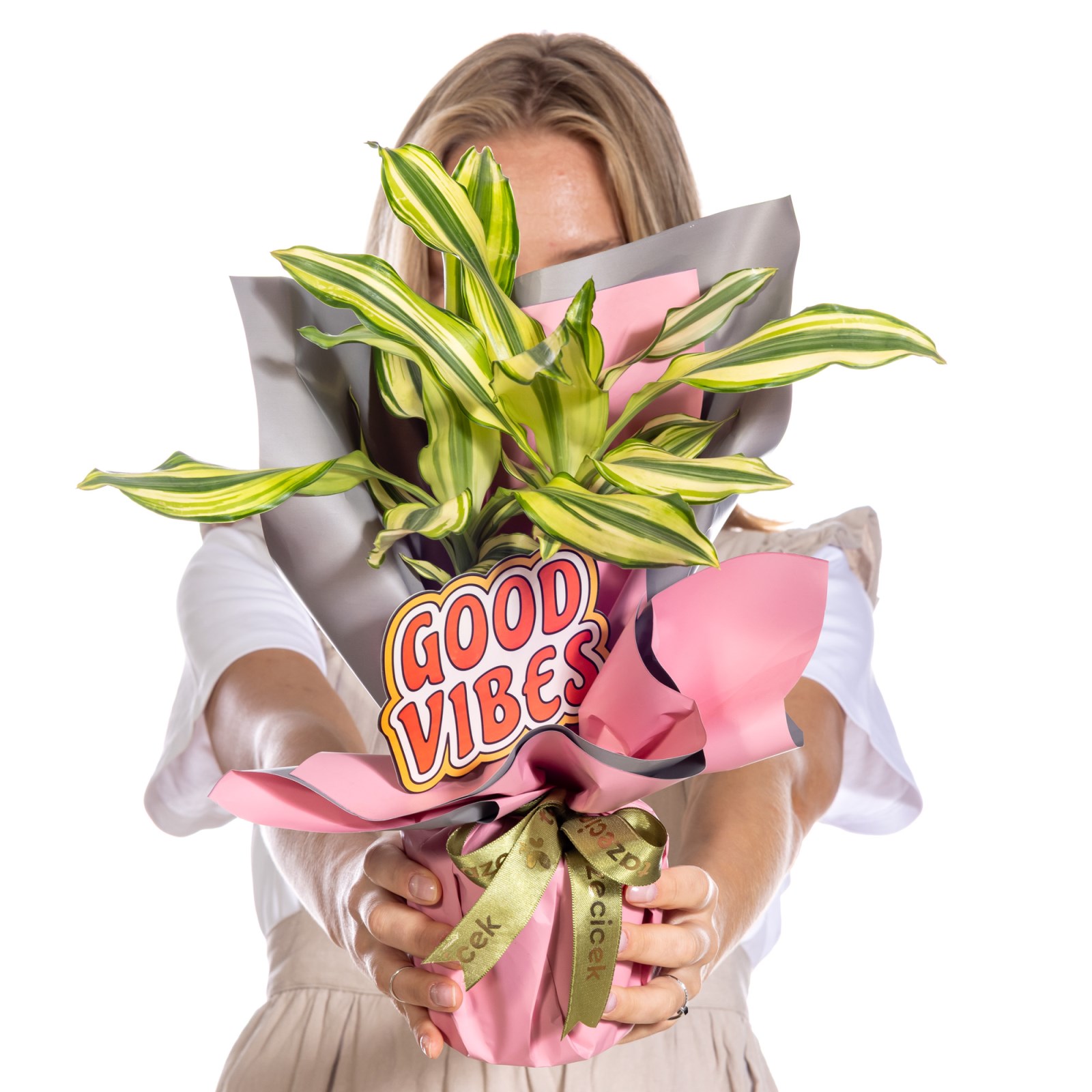Happy Energy Dracena