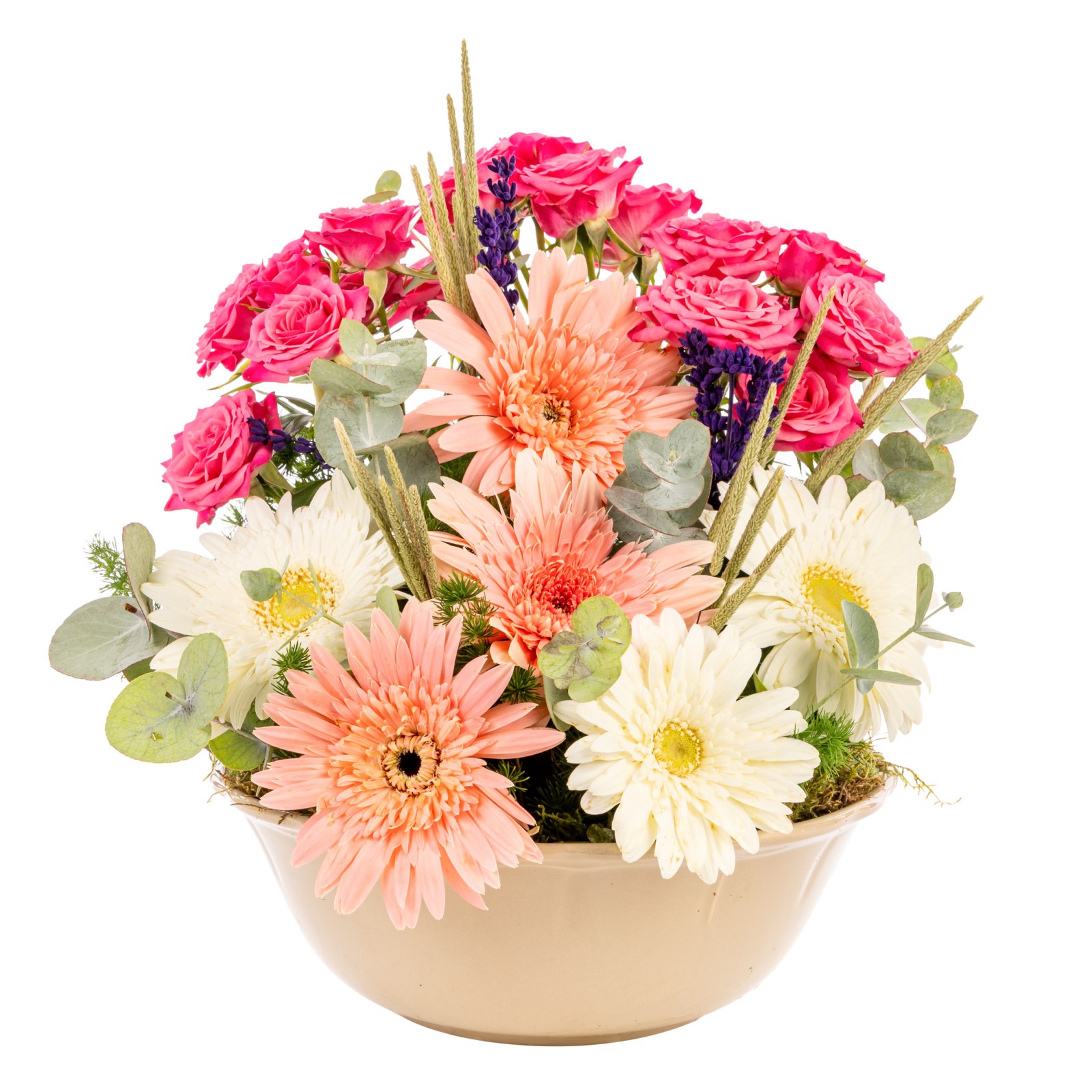 Joyful Harmony Gerbera Kasesi