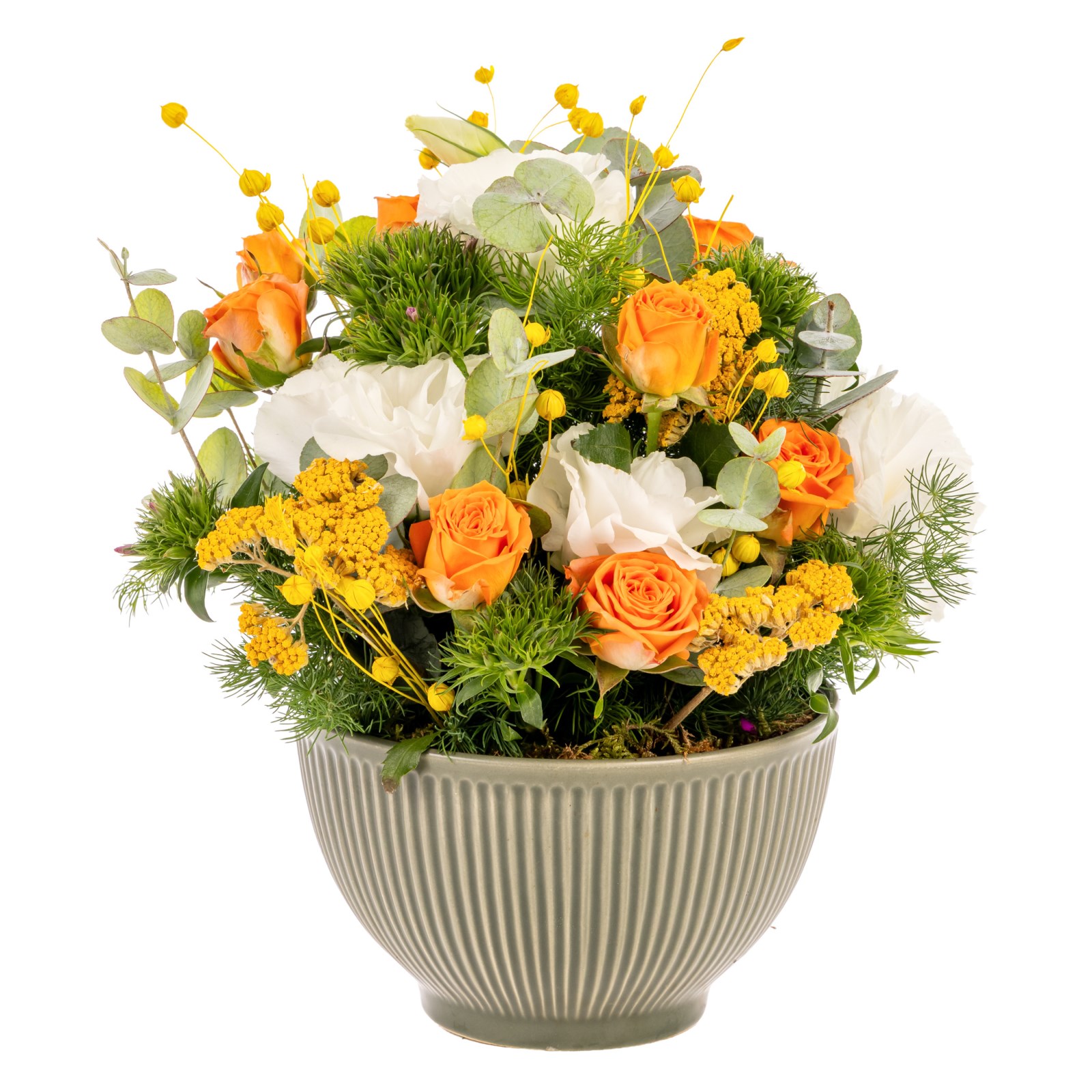 Citrus Glow Gül Kasesi