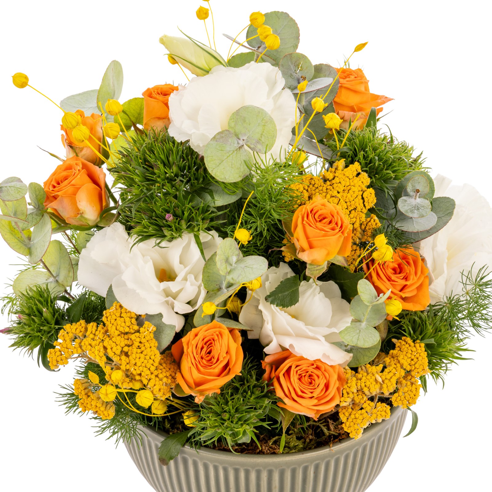 Citrus Glow Gül Kasesi