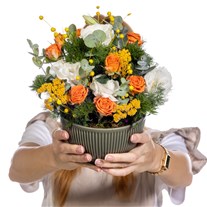 Citrus Glow Gül Kasesi