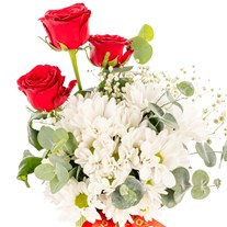 Scarlet Love Papatya Gül Vazosu
