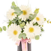 Soft Glow Beyaz Gerbera Vazosu