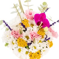 Spring Aura Papatya Çiçek Kasesi