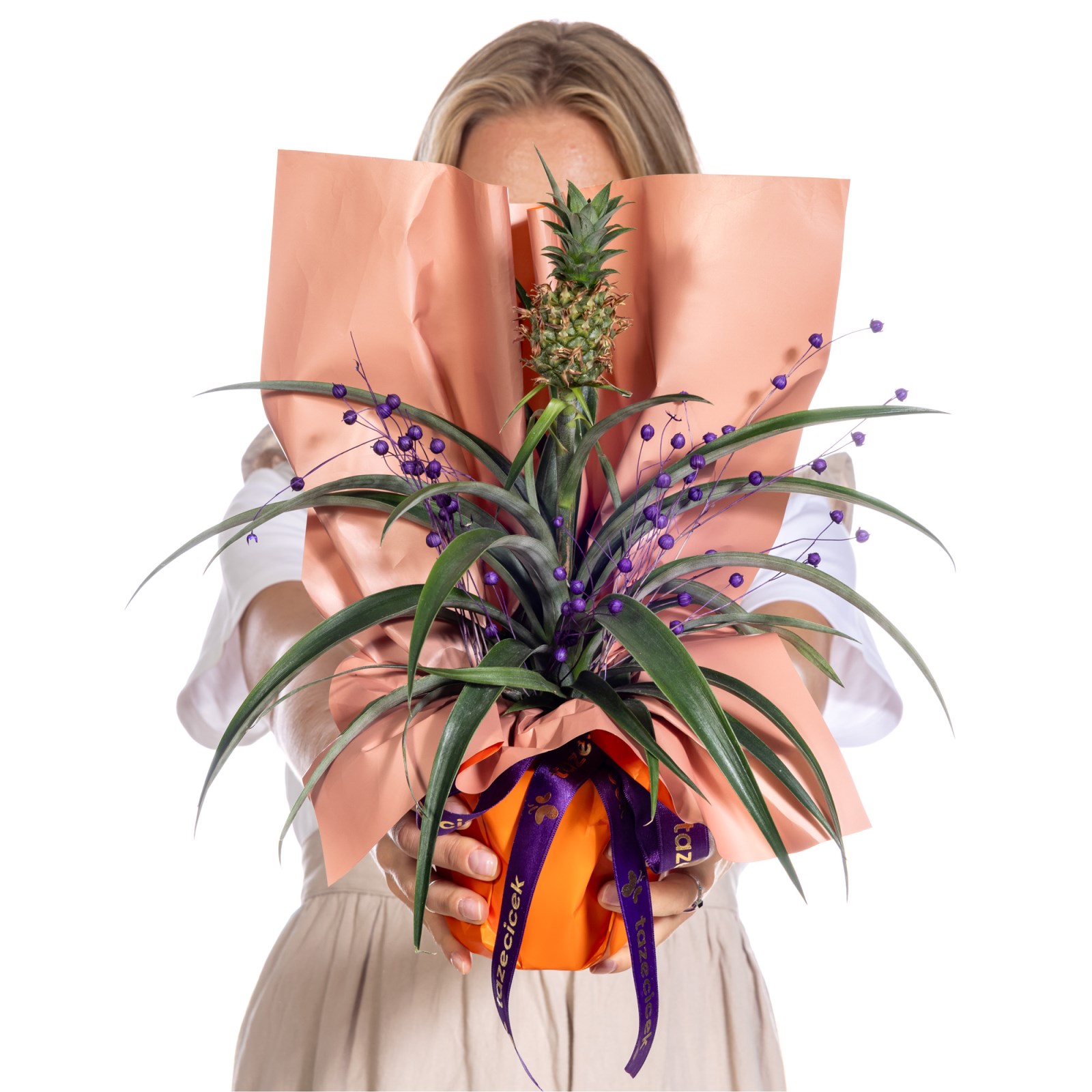 Tropical Joy Ananas Bitkisi