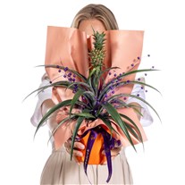 Tropical Joy Ananas Bitkisi