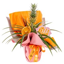 Tropical Hello Ananas