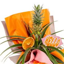 Tropical Hello Ananas