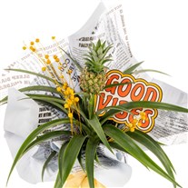 Positive Twist Ananas Bitkisi