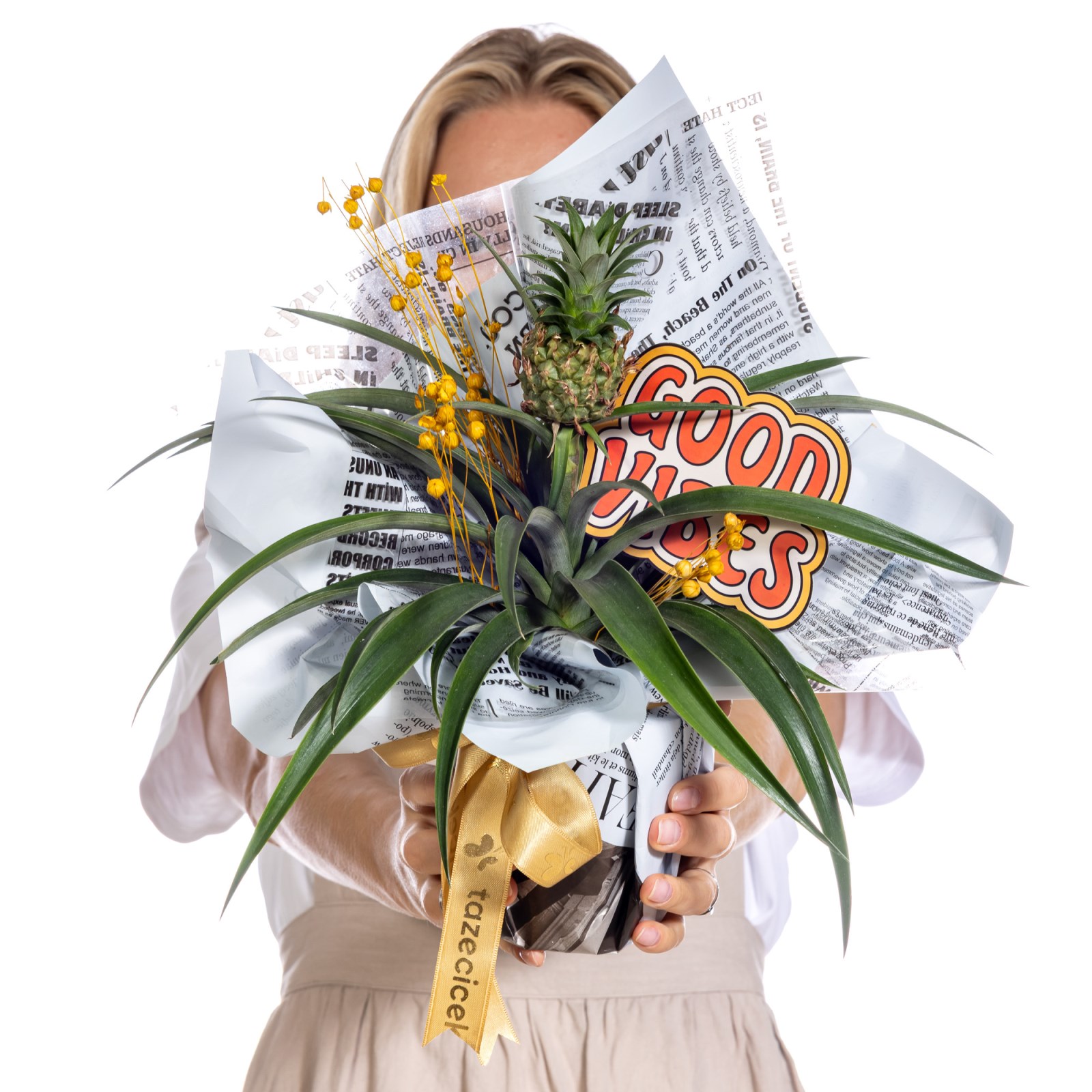 Positive Twist Ananas Bitkisi