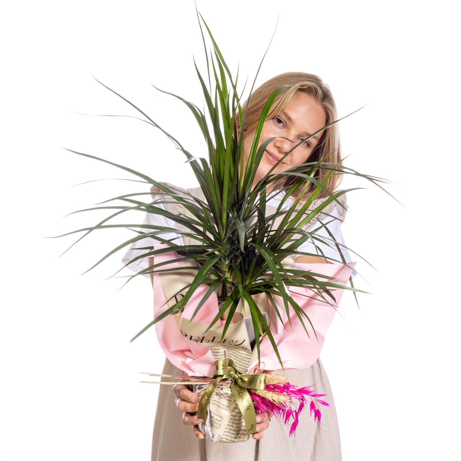 Fresh Spirit Marginata