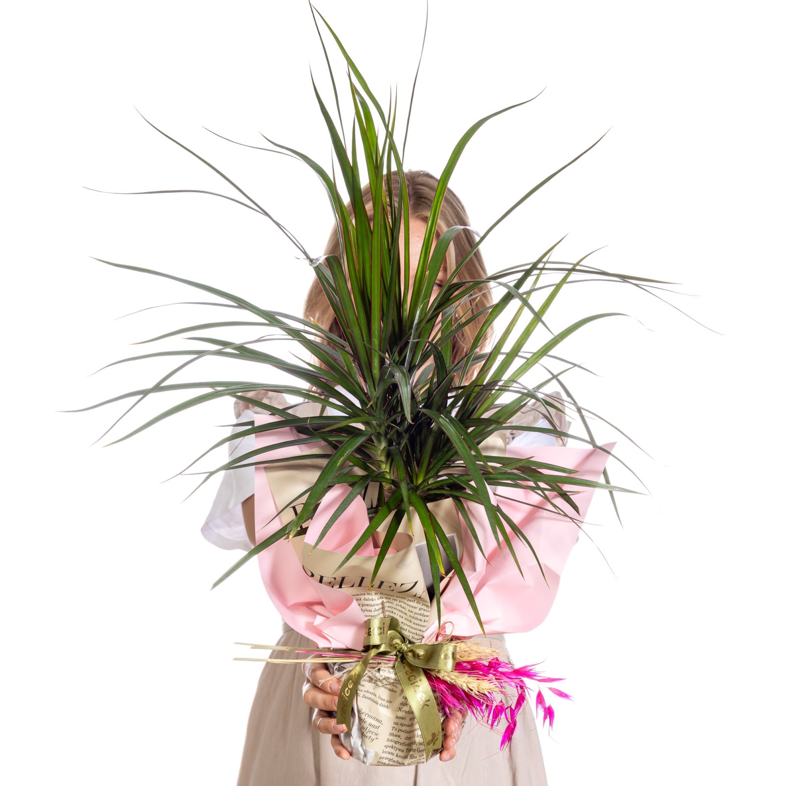 Fresh Spirit Marginata