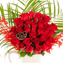 Peach Red Harmony Kırmızı Güller