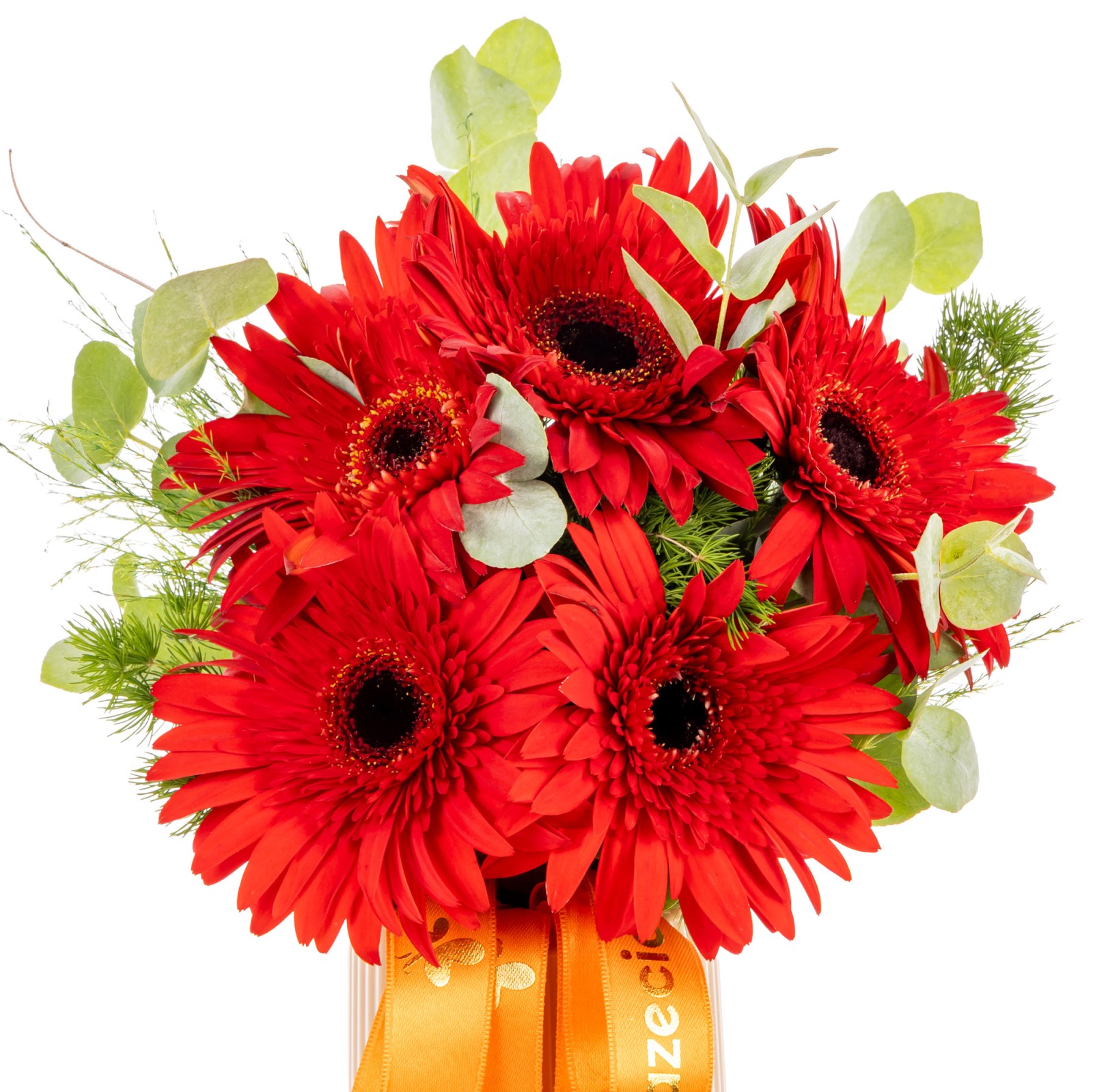Crimson Flame Kırmızı Gerbera Vazosu