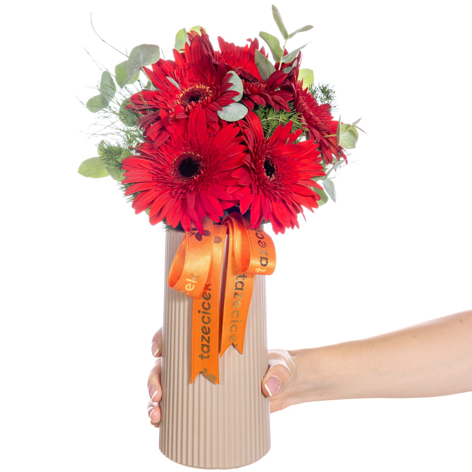 Crimson Flame Kırmızı Gerbera Vazosu