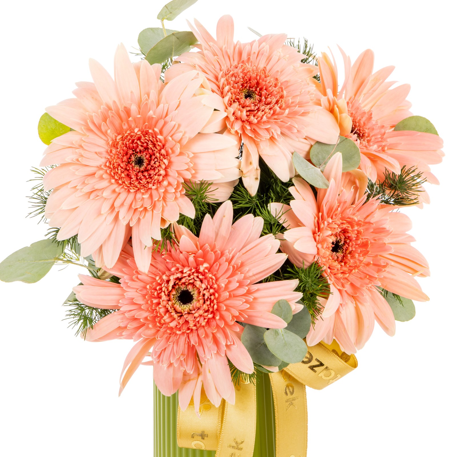 Peach Whisper Pembe Gerbera Vazosu