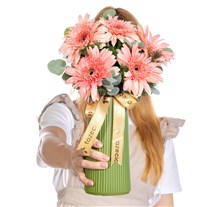 Peach Whisper Pembe Gerbera Vazosu