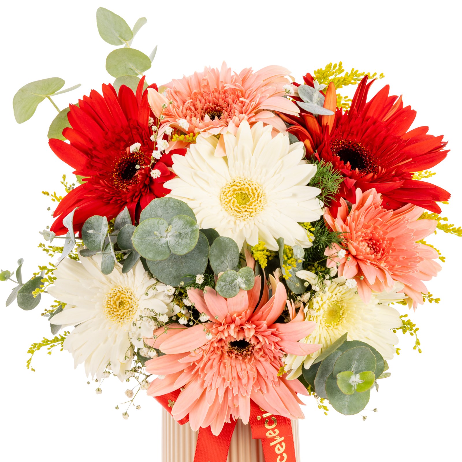 Bloom Symphony Renkli Gerbera Vazosu