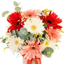 Bloom Symphony Renkli Gerbera Vazosu