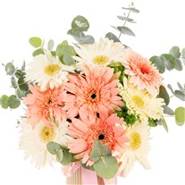 Pure Elegance Soft Gerbera Vazosu