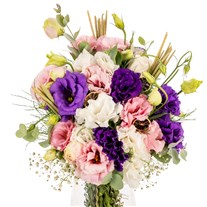 Bloom Boom Renkli Lisyantuslar