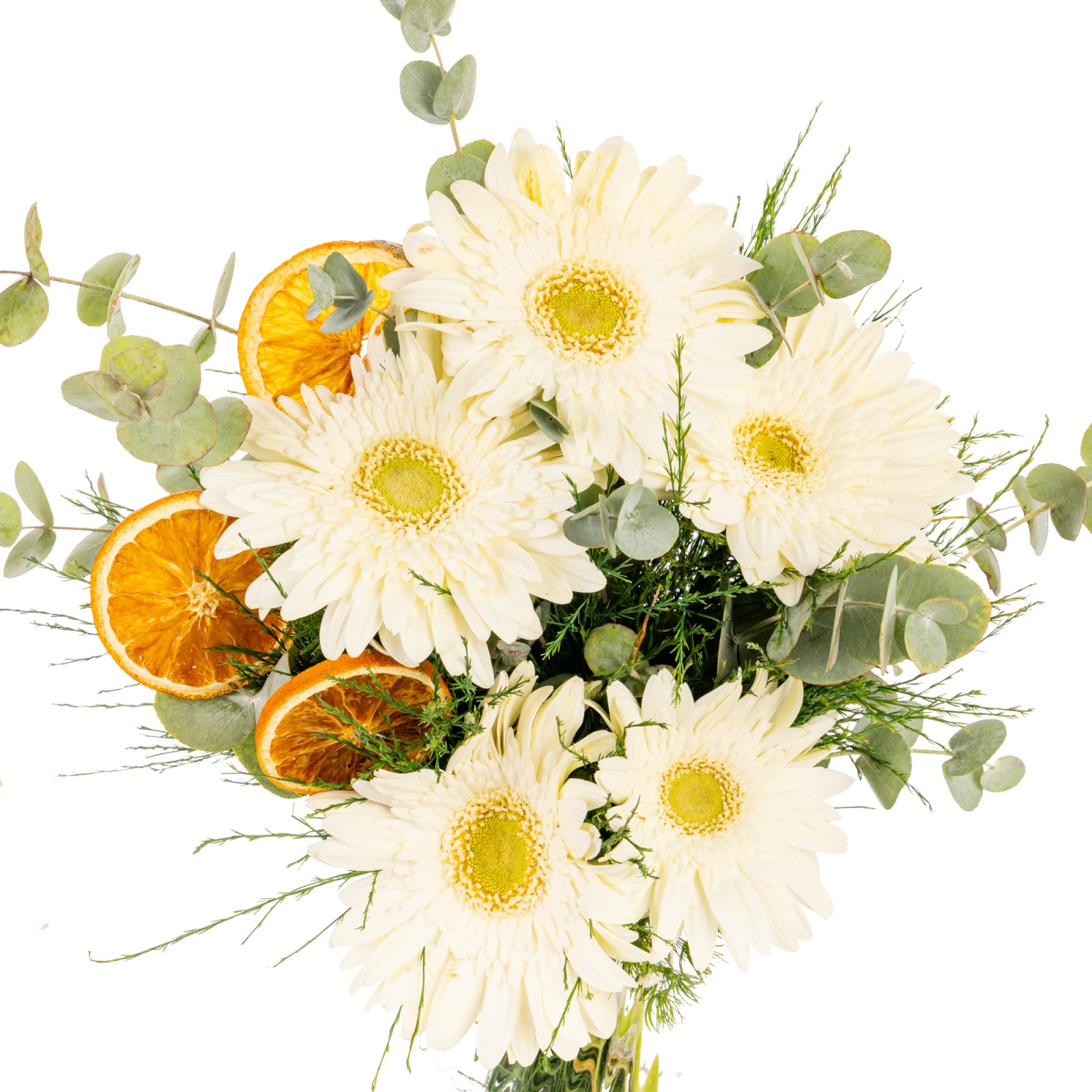 Citrus Melody Beyaz Gerberalar