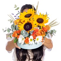 Hello Sunshine Ayçiçekleri