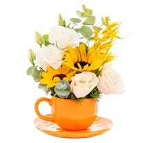 Sunny Cup Günebakan & Lisyantus