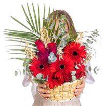 Scarlet Joy Gerbera & Gül Sepeti