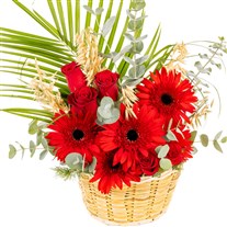Scarlet Joy Gerbera & Gül Sepeti