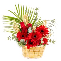 Scarlet Joy Gerbera & Gül Sepeti