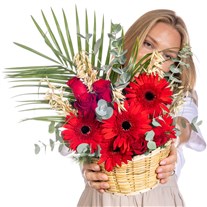 Scarlet Joy Gerbera & Gül Sepeti