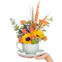 Sun Cup Gül & Günebakan