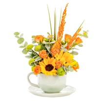 Sun Cup Gül & Günebakan